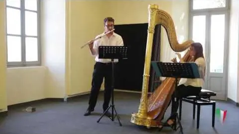 Anteprima video Brano di musica classica 6