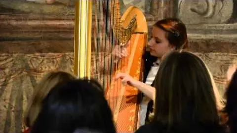 Anteprima video Brano di musica classica 8