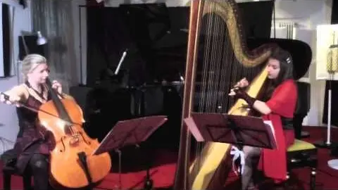 Anteprima video Musica per eventi 3