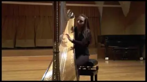 Anteprima video Brano di musica classica 4