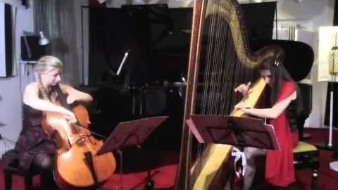Anteprima video Musica per eventi 5