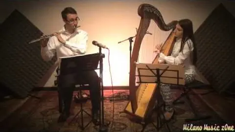 Anteprima video Musica per eventi 8