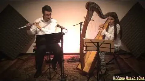 Anteprima video Musica per eventi 9